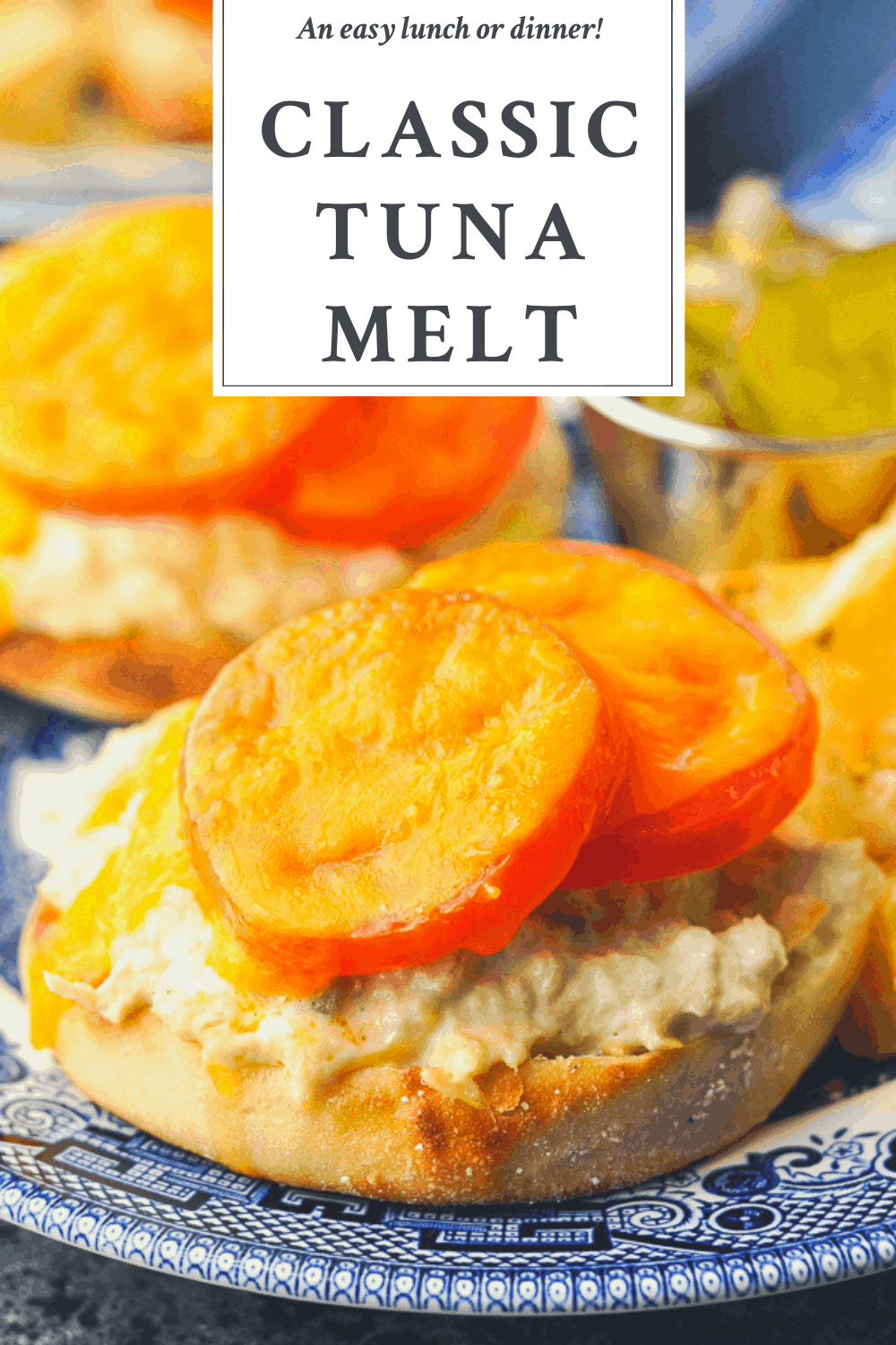 The Best Tuna Melt Recipe The Seasoned Mom