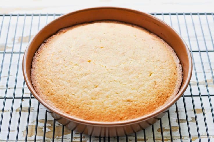 Baked French breakfast cake in a round pan.