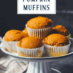 Front shot of a tray of 2 ingredient pumpkin muffins with cake mix