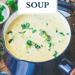 Close up shot of a bowl of broccoli and cheese soup with text title overlay