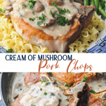 Long collage of cream of mushroom pork chops