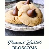 Soft peanut butter blossoms with text title at the bottom.