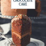 Front shot of a slice of chocolate cake with text title overlay