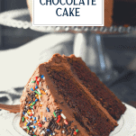 Slice of homemade chocolate cake on a plate with text title overlay