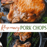 Long collage image of Rosemary Pork Chops