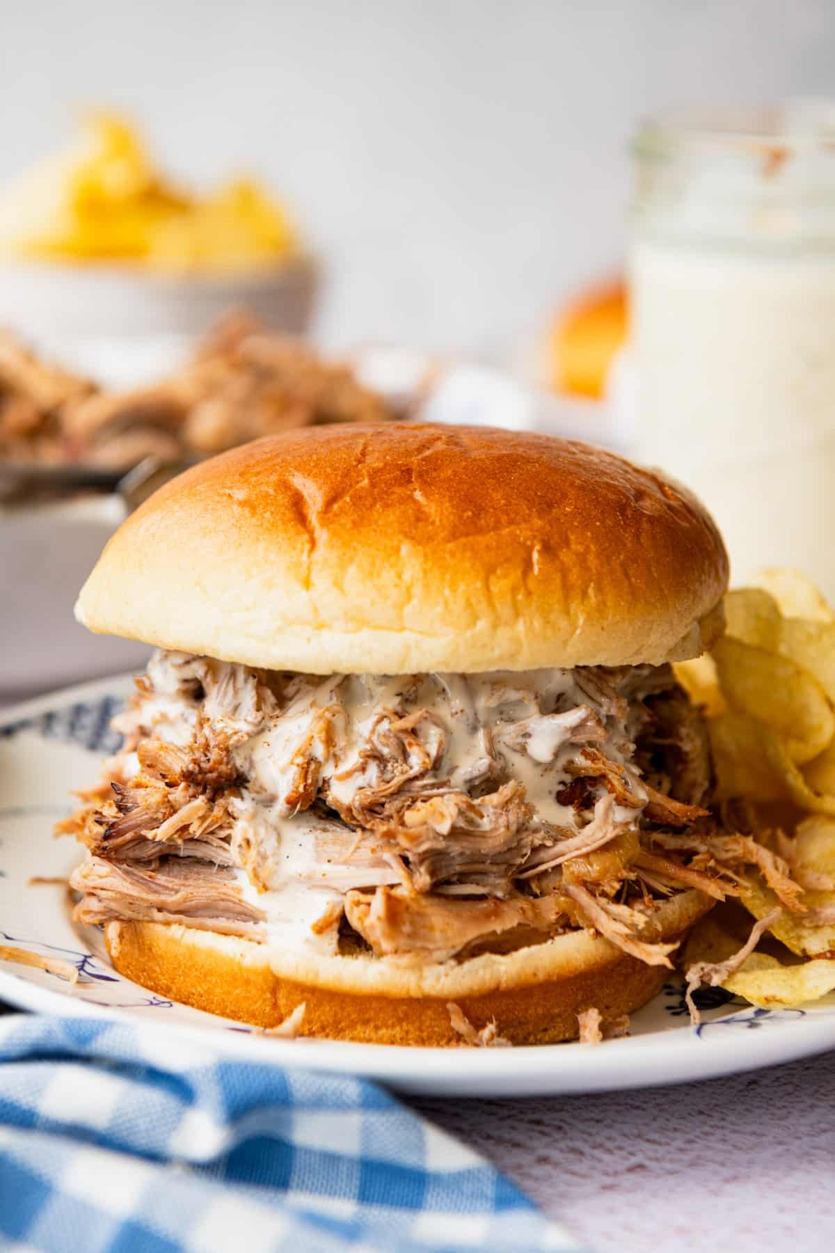 Side shot of a pulled pork sandwich with Alabama white bbq sauce on a blue and white plate.