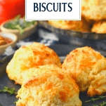 Close up side shot of fluffy cheese biscuits on a plate with text title overlay