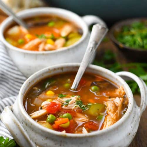 Chicken Vegetable Soup The Seasoned Mom