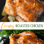 Long collage image of whole roasted chicken with salt brine