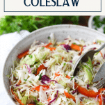 Close up side dish of a bowl of vinegar based coleslaw with text title box at top
