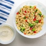 Overhead shot of ingredients for creamy pasta salad recipe