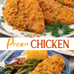 Long collage image of Pecan Crusted Chicken