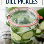 Close up shot of quick dill pickles with text title box at top