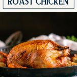 Side shot of the best oven roasted chicken with text title box at top