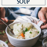 Spoon in a bowl of homemade chicken and dumpling soup with text title box at top