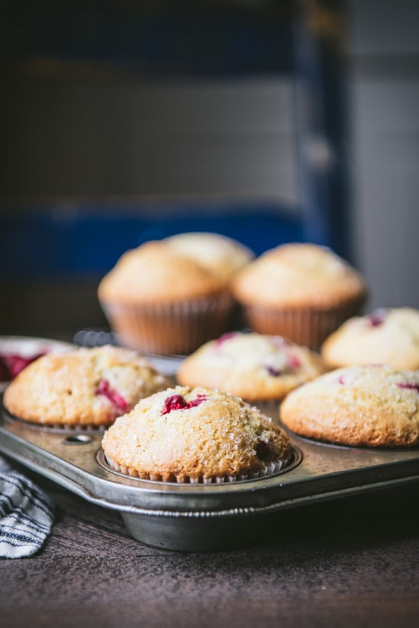 Close up side shot of fresh cranberry muffins in a muffin tin.