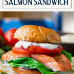 Close up shot of a homemade salmon sandwich with text title box at top