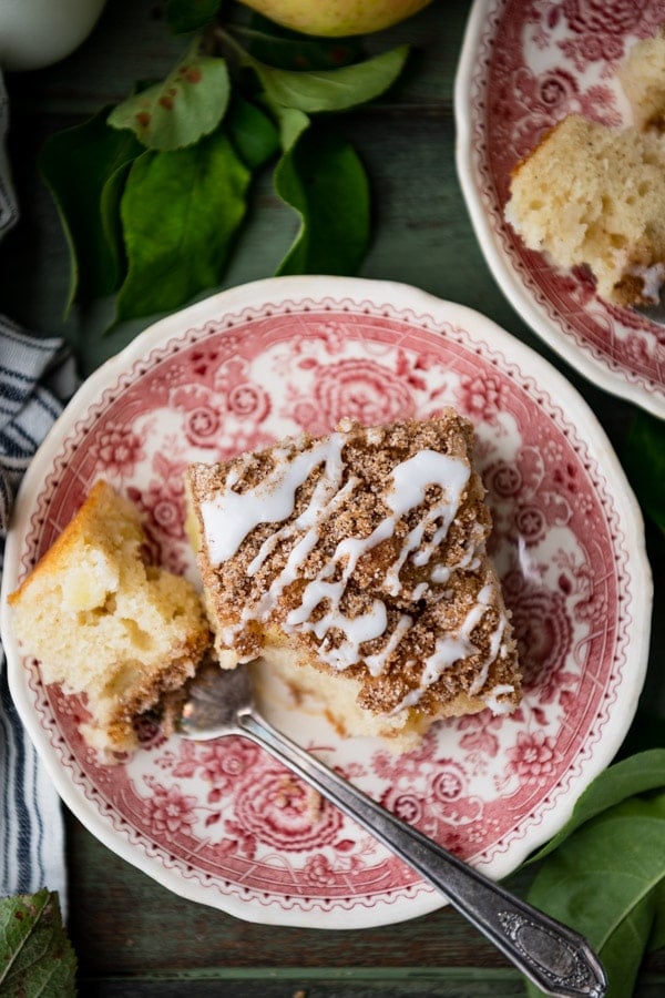 Close overhead shot of a slice of apple coffee cake on a red and white vintage plate