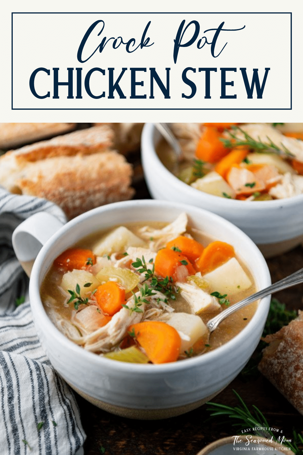 Side shot of a bowl of slow cooker chicken stew with text title box at top