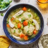 Horizontal overhead shot of a bowl of chicken and dumpling soup.