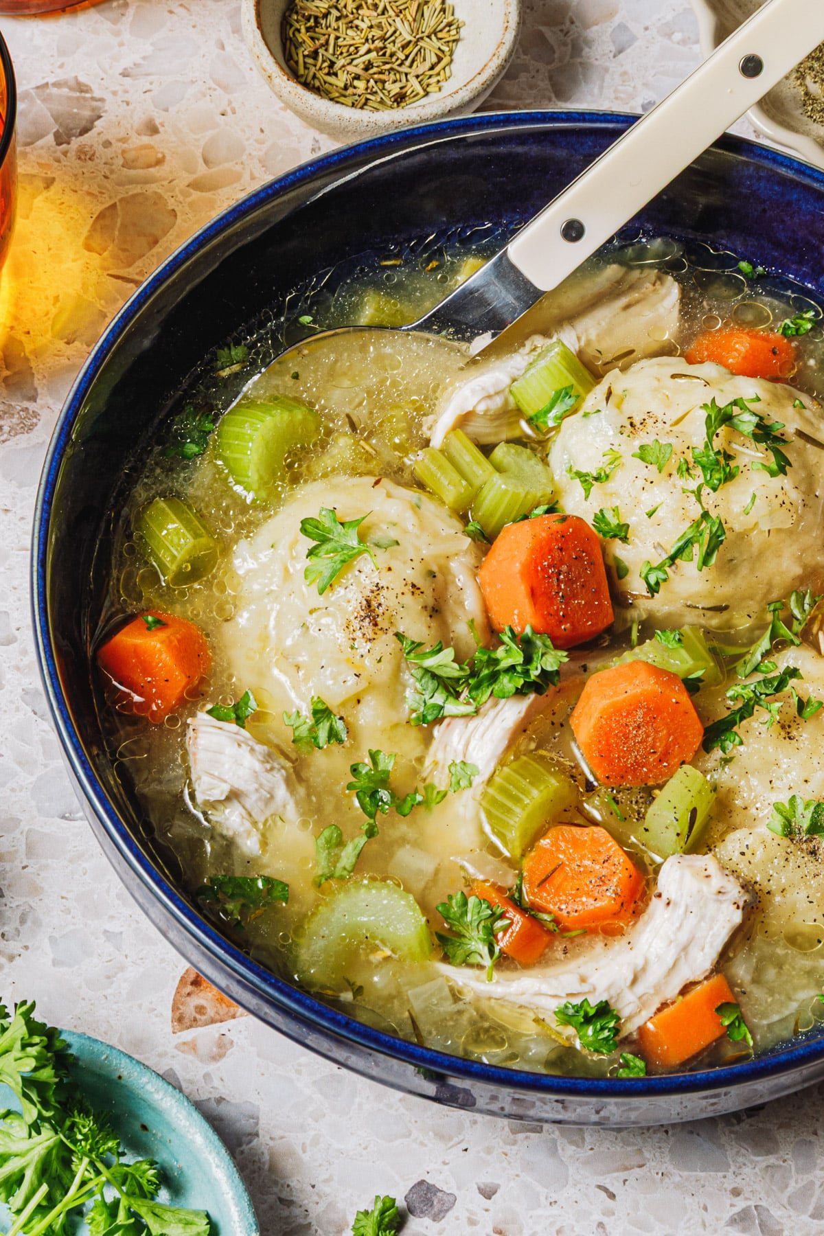 Close up side shot of a spoon in a bowl of chicken dumpling soup.