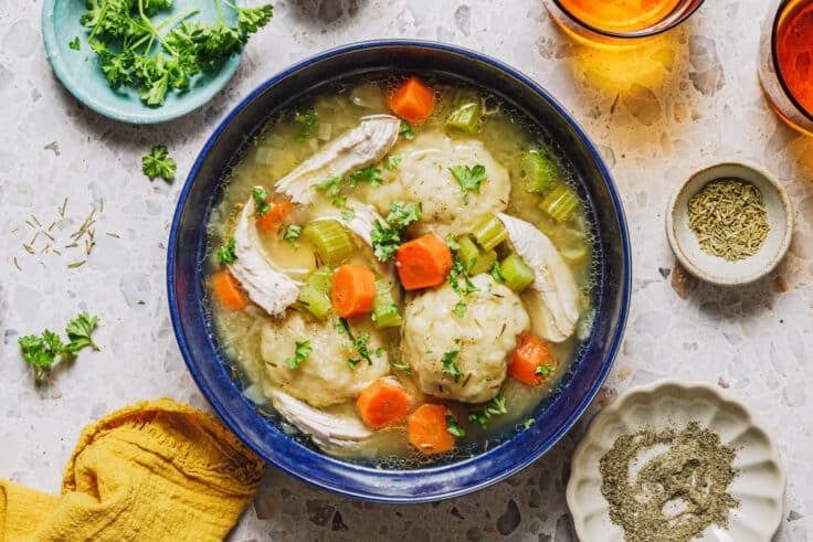 Horizontal overhead shot of a bowl of chicken and dumpling soup.