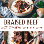 Long collage image of braised beef.