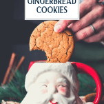 Dipping a gingerbread cookie with text title overlay.