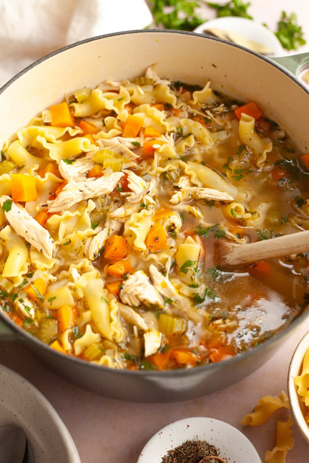 Side shot of rotisserie chicken noodle soup in a Dutch oven.
