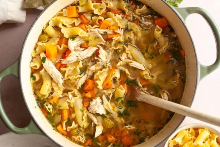 Horizontal overhead shot of rotisserie chicken noodle soup in a Dutch oven.