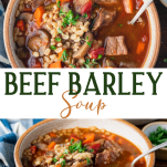 Long collage image of Beef Barley Soup