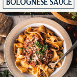 Overhead shot of a bowl of spaghetti bolognese with text title box at top.