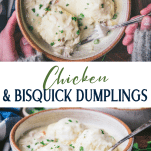 Long collage image of chicken and bisquick dumpling recipe.