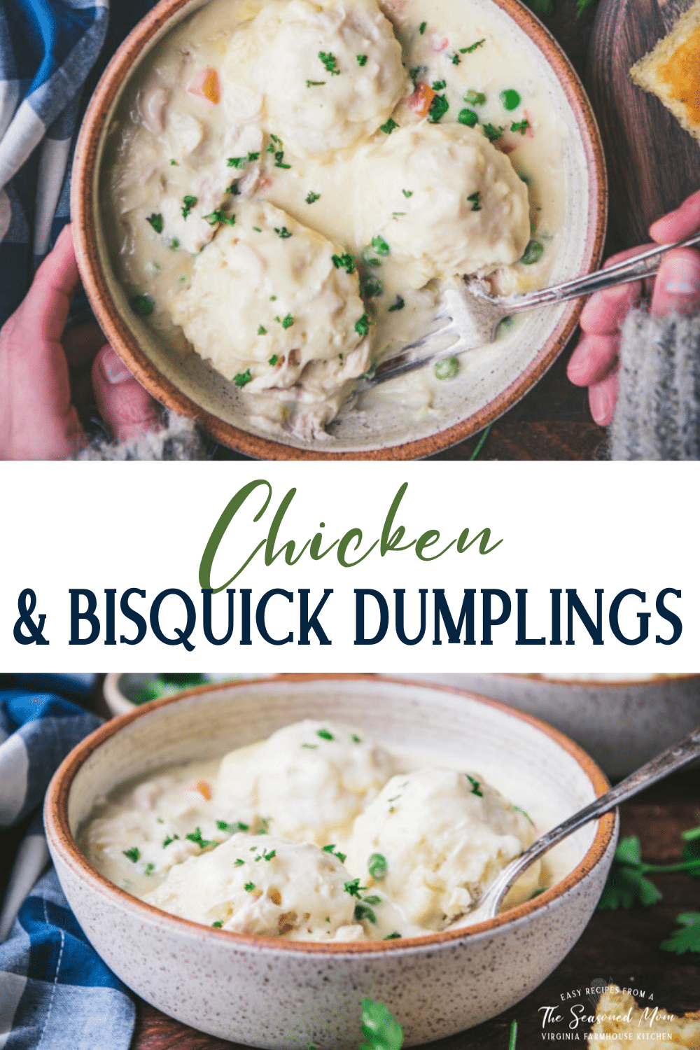 Chicken and Bisquick Dumplings Recipe The Seasoned Mom