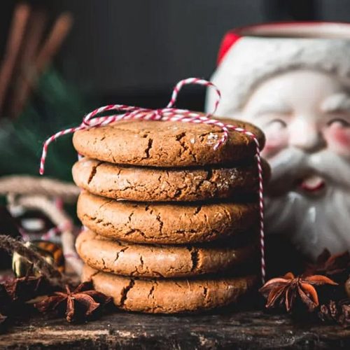 https://www.theseasonedmom.com/wp-content/uploads/2021/12/Williamsburg-Gingerbread-Cookies-Square-500x500.jpg