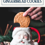 Dipping Williamsburg gingerbread cookies in cocoa with text title box at top