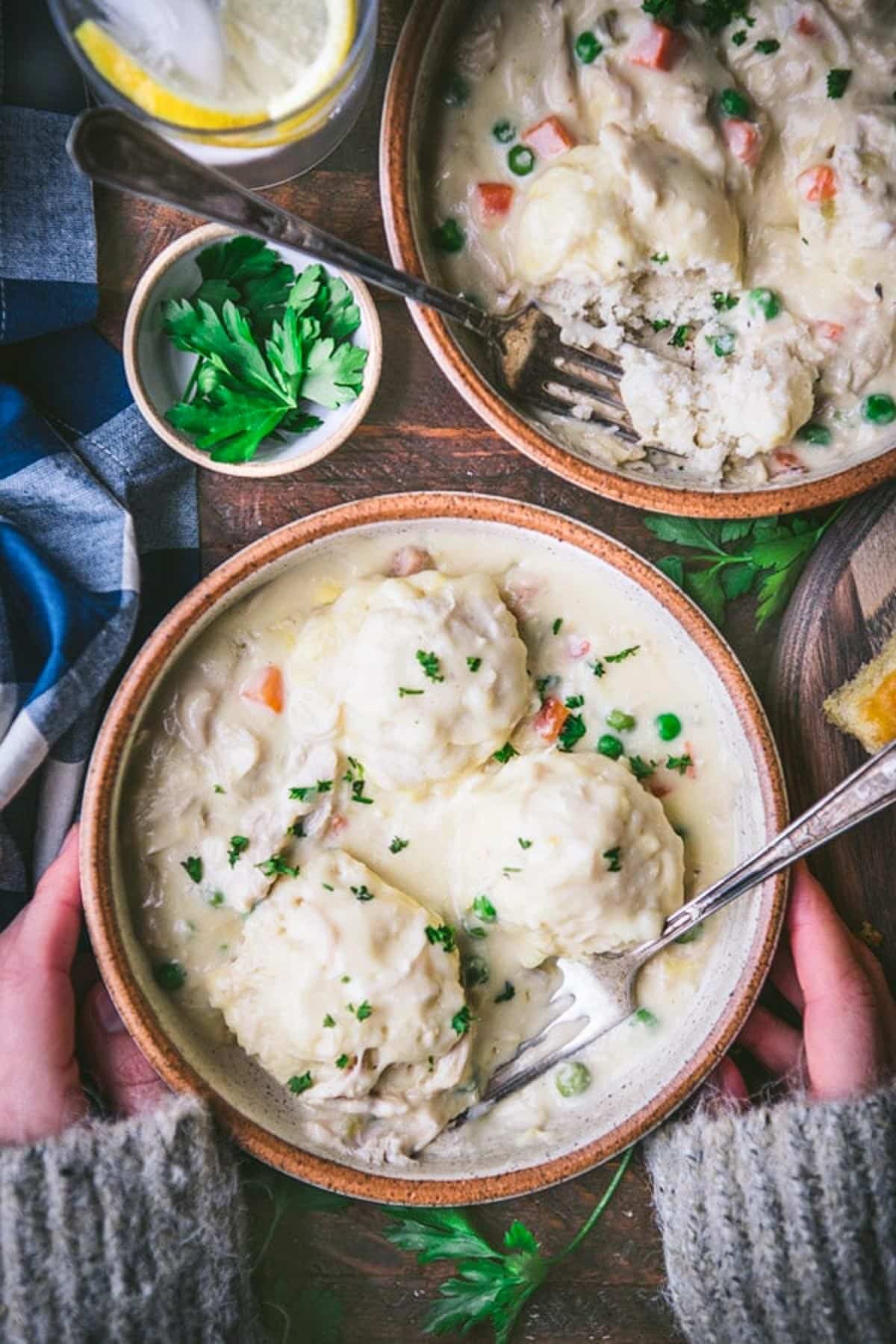 Overhead shot of hands holding a bowl of chicken and bisquick dumplings.