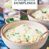 Chicken and bisquick dumplings with text title overlay.