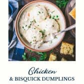 Chicken and bisquick dumplings with text title at the bottom.