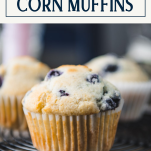 Close up side shot of blueberry corn muffins on a wire rack with text title box at top