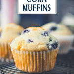 Close up side shot of blueberry corn muffin with text title overlay
