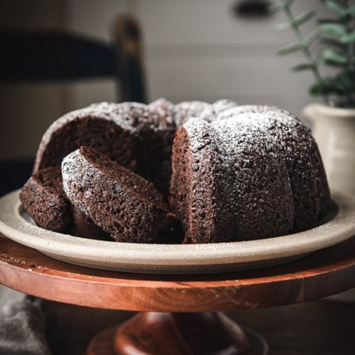 Chocolate Bundt Cake {Using Cake Mix!} - The Seasoned Mom