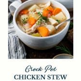 Crock Pot chicken stew with text title at the bottom.