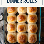 Overhead shot of a pan of no knead easy dinner rolls with text title box at top
