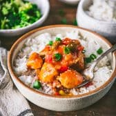 Square side shot of a bowl of baked sweet and sour chicken over rice.
