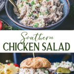 Long collage image of southern chicken salad recipe