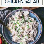 Close overhead shot of a bowl of southern chicken salad recipe with text title box at top