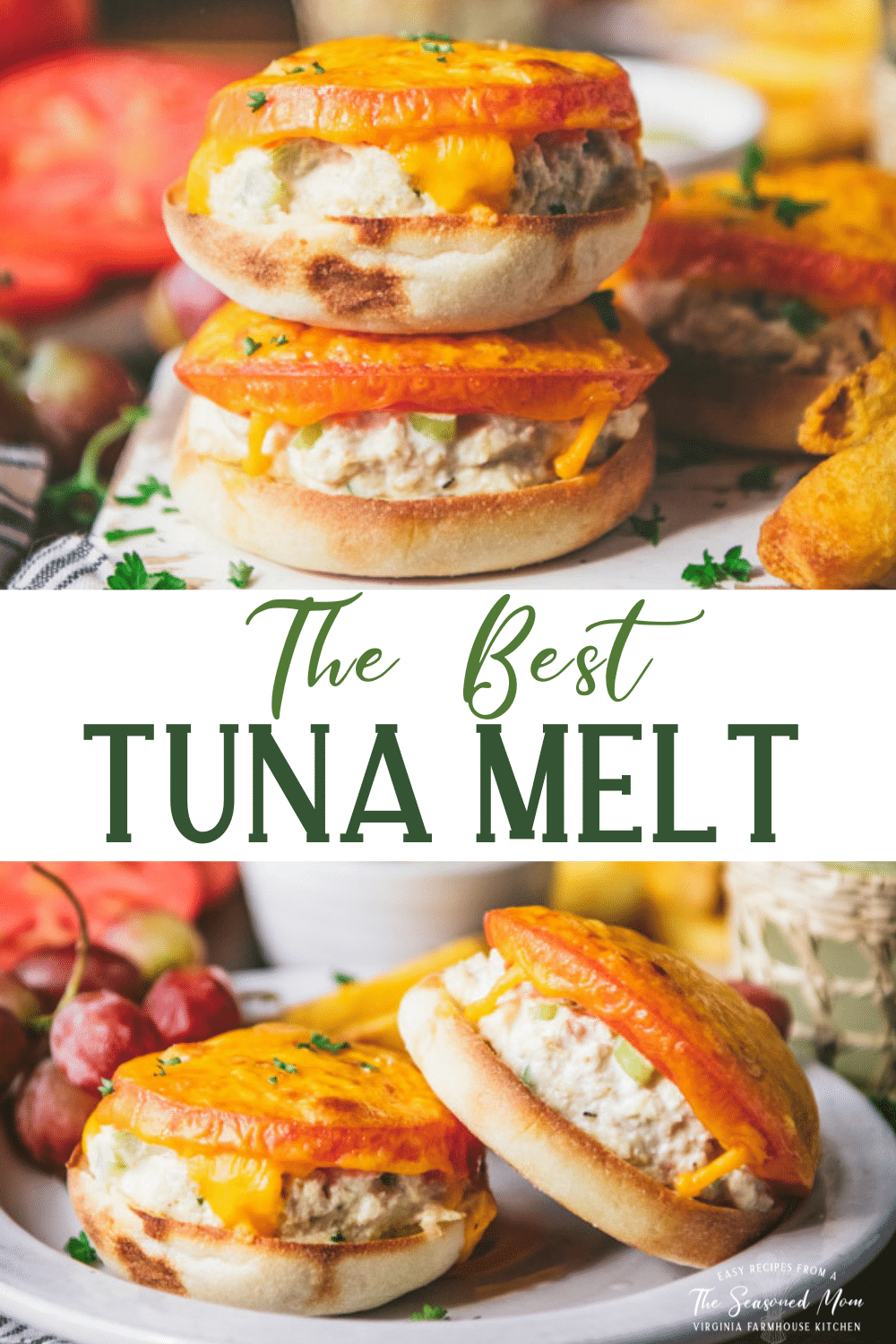 The Best Tuna Melt Recipe The Seasoned Mom