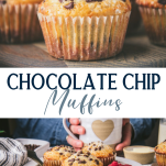 Long collage image of chocolate chip muffins