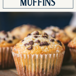 Close up side shot of a chocolate chip muffin with text title box at top
